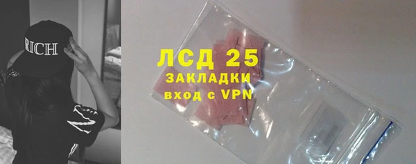 спайс Михайлов