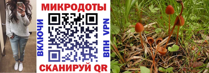 дарнет шоп  Улан-Удэ  blacksprut зеркало  Псилоцибиновые грибы прущие грибы 