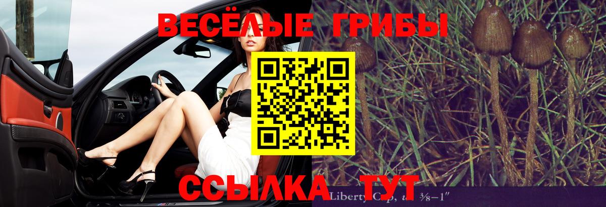 Улан-Удэ  Галлюциногенные грибы Magic Shrooms  Галлюциногенные грибы Psilocybe  Вход с VPN 